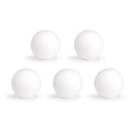 Lot de 5 balles Roberto Sport plastique blanches